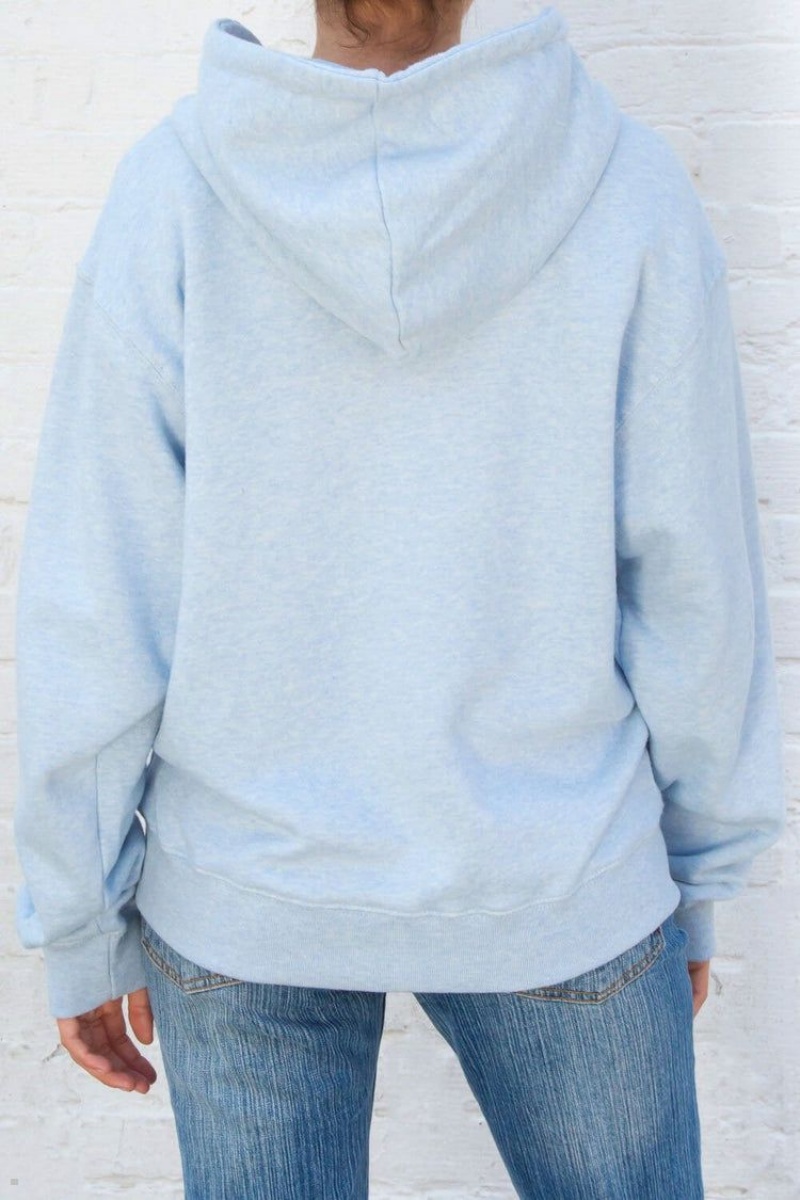 Sweat a Capuche Brandy Melville Christy Bleu Clair | SIY-03927546